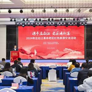 2024年左右江革命老区红色旅游交流活动成功举办