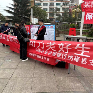 农发行贵州分行纳雍县支行开展“3.15”金融消费者权益保护教育宣传活动