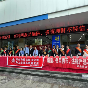 农发行织金支行开展“打击和防范经济犯罪”5.15宣传活动